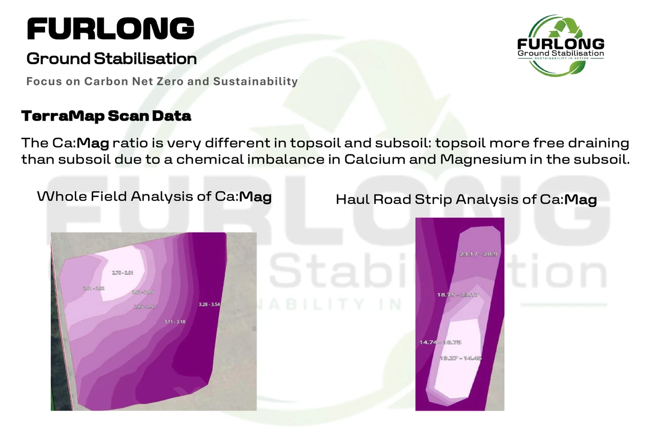 TerraMap scan data showing Ca to magnesium ratio differences