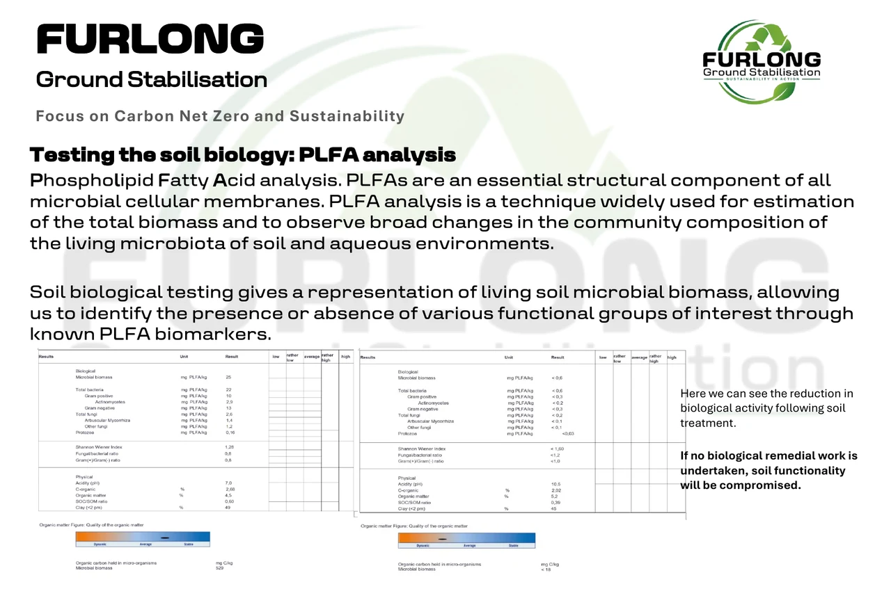 PLFA soil biology analysis showing biological testing data