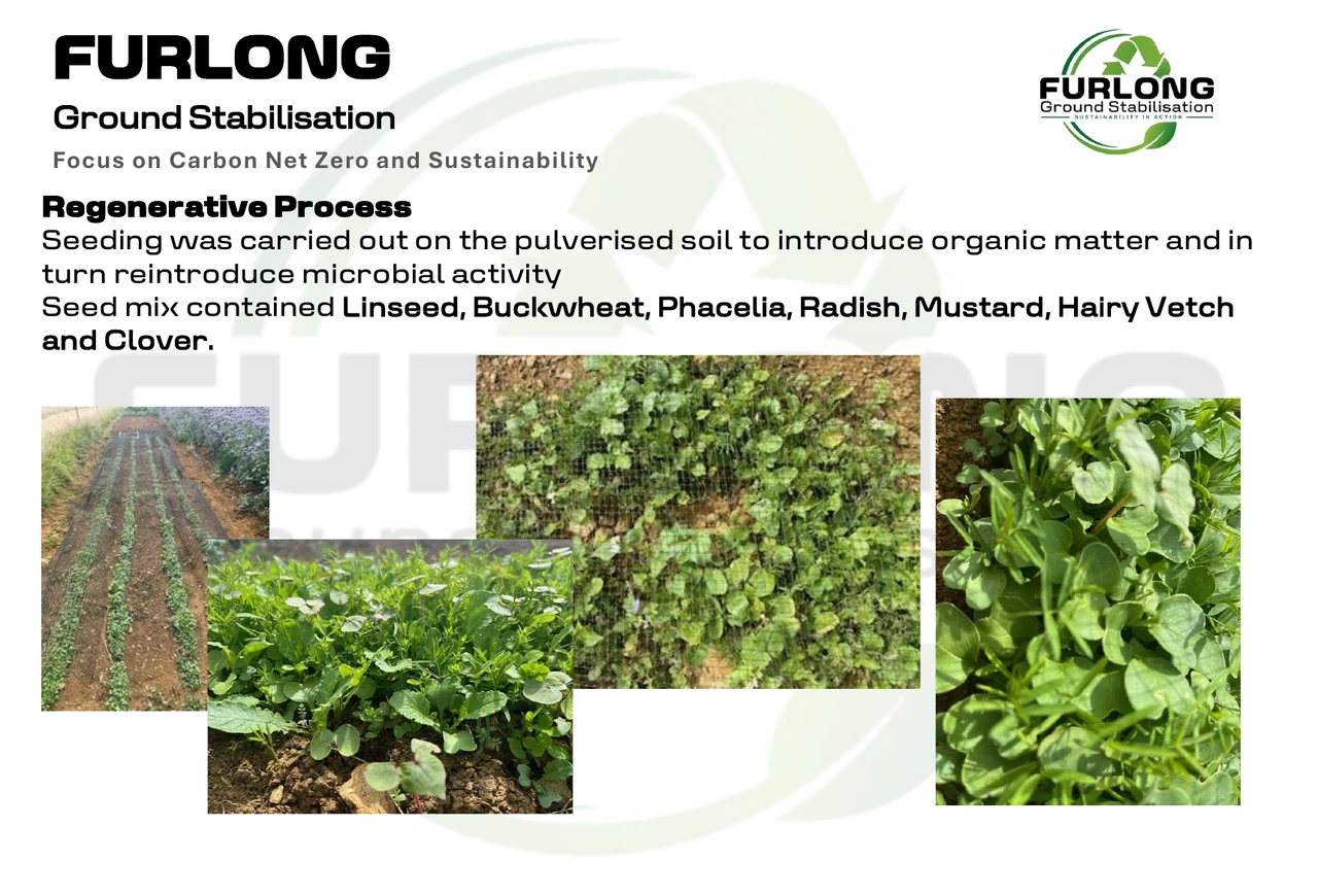 Regenerative process and seed mix photographs